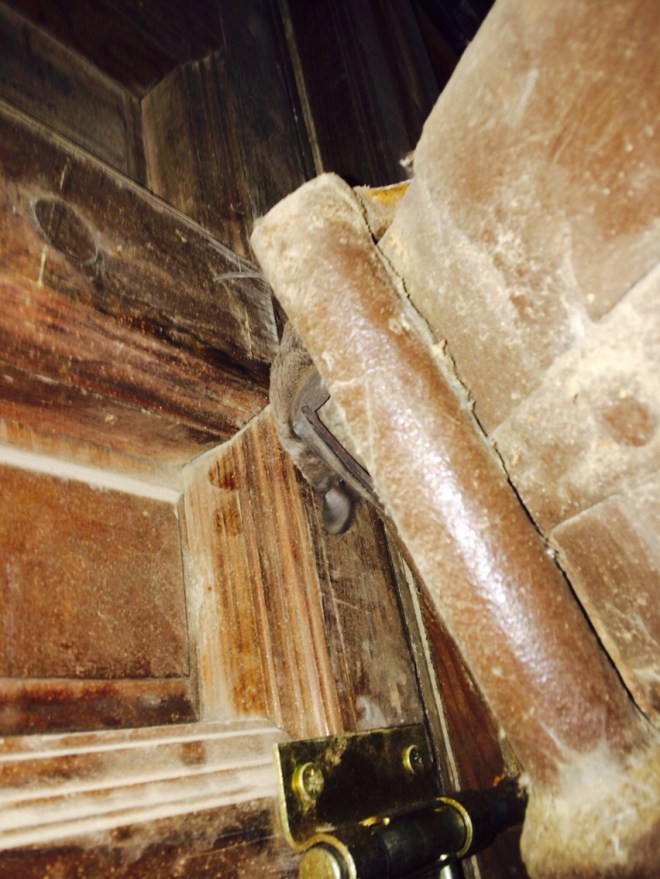 Obras de consolidación de la puerta parroquial de la umbría (2)